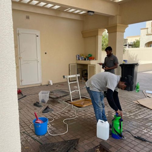 WhatsApp Image 2021-11-30 at 11.08.26 PM