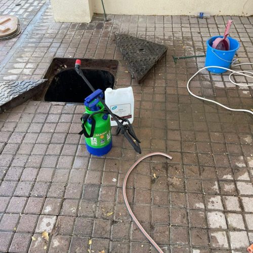 WhatsApp Image 2021-11-30 at 11.08.27 PM (2)