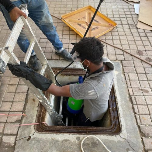 WhatsApp Image 2021-11-30 at 11.08.28 PM (1)